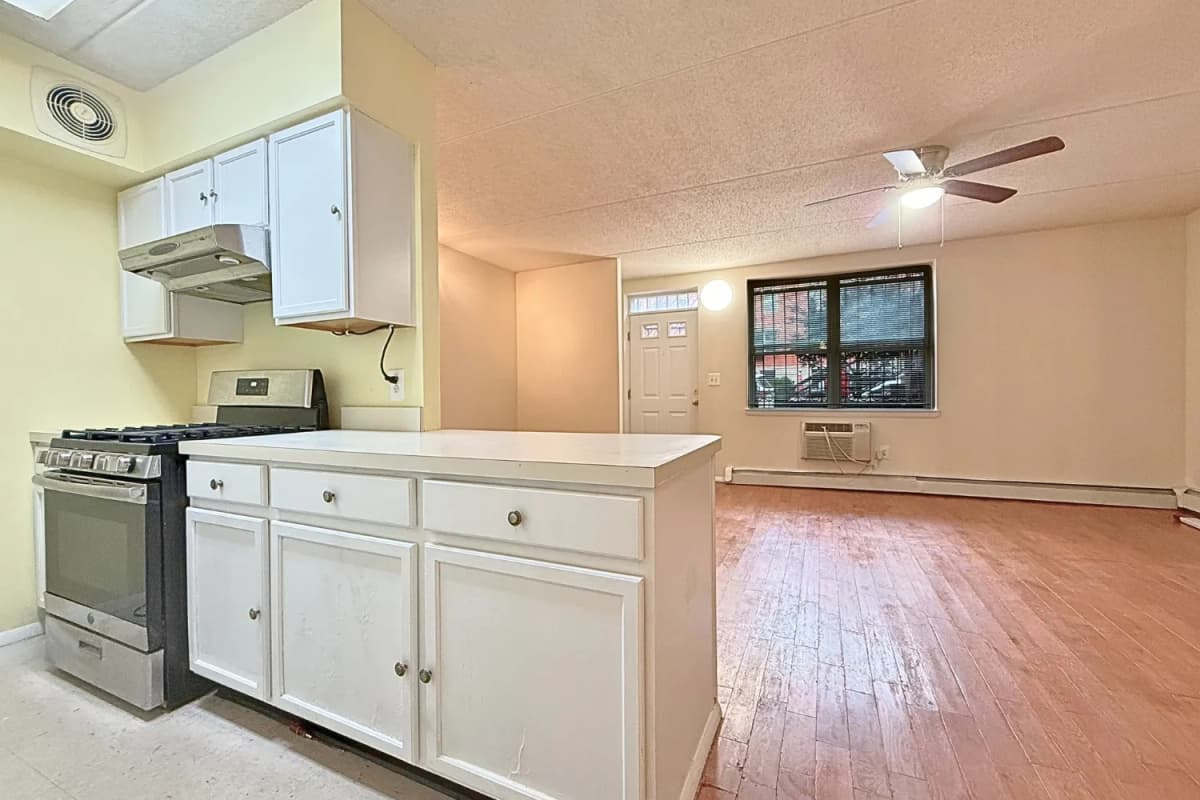 Micky Pekija - 318 East 119th Street #1 1 of 15