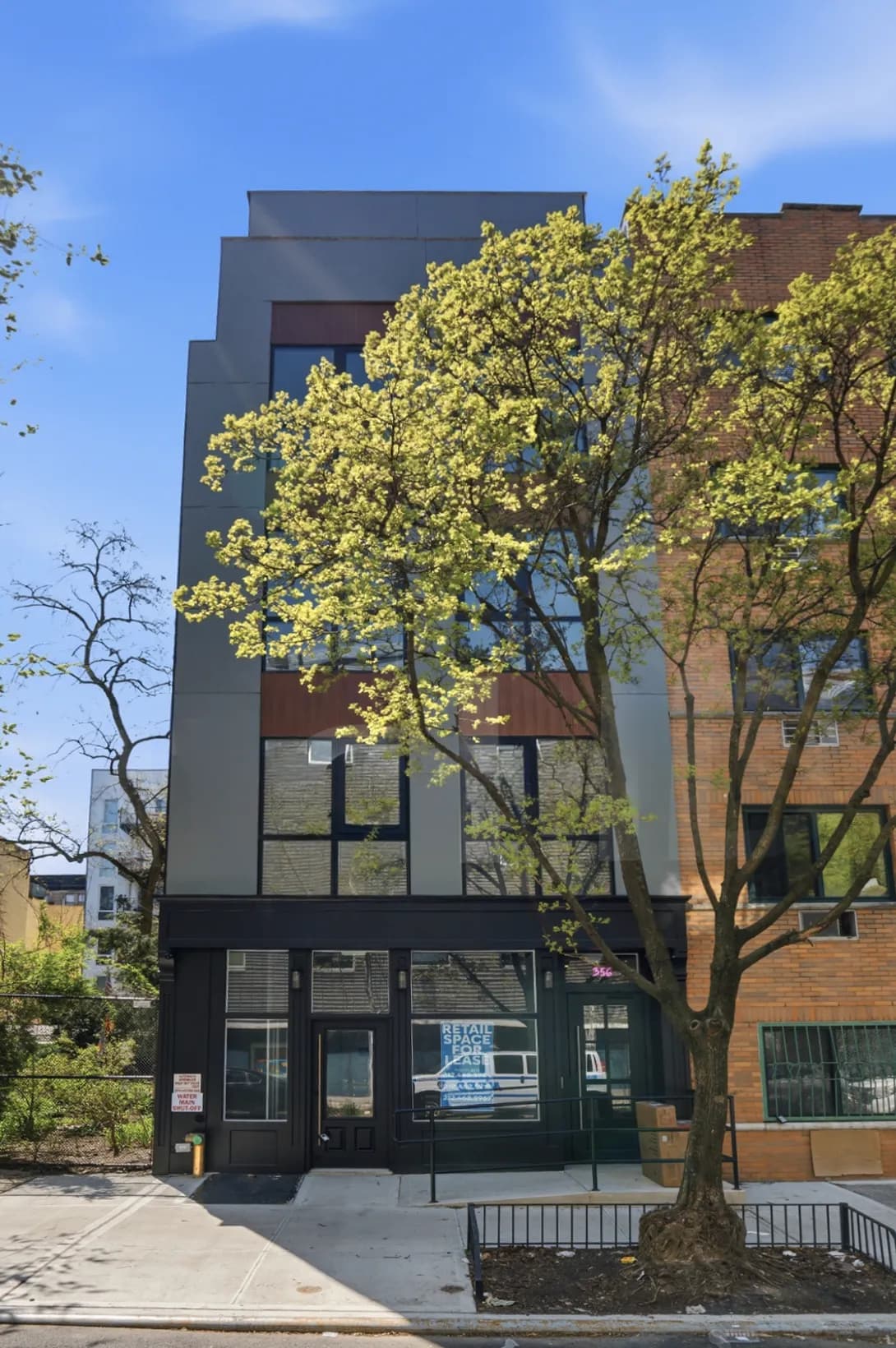 Cyrus Eyn - 356 East 8th Street #PH2 1 of 15