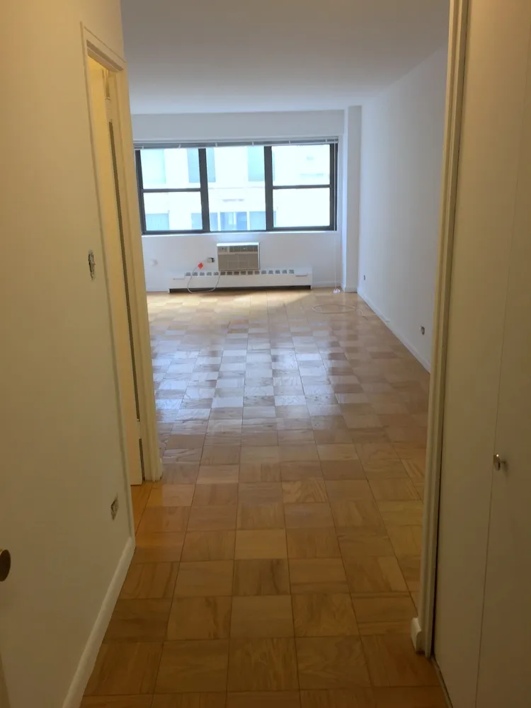 Walter Sanchez - 330 E. 46th Street #11A 1 of 15
