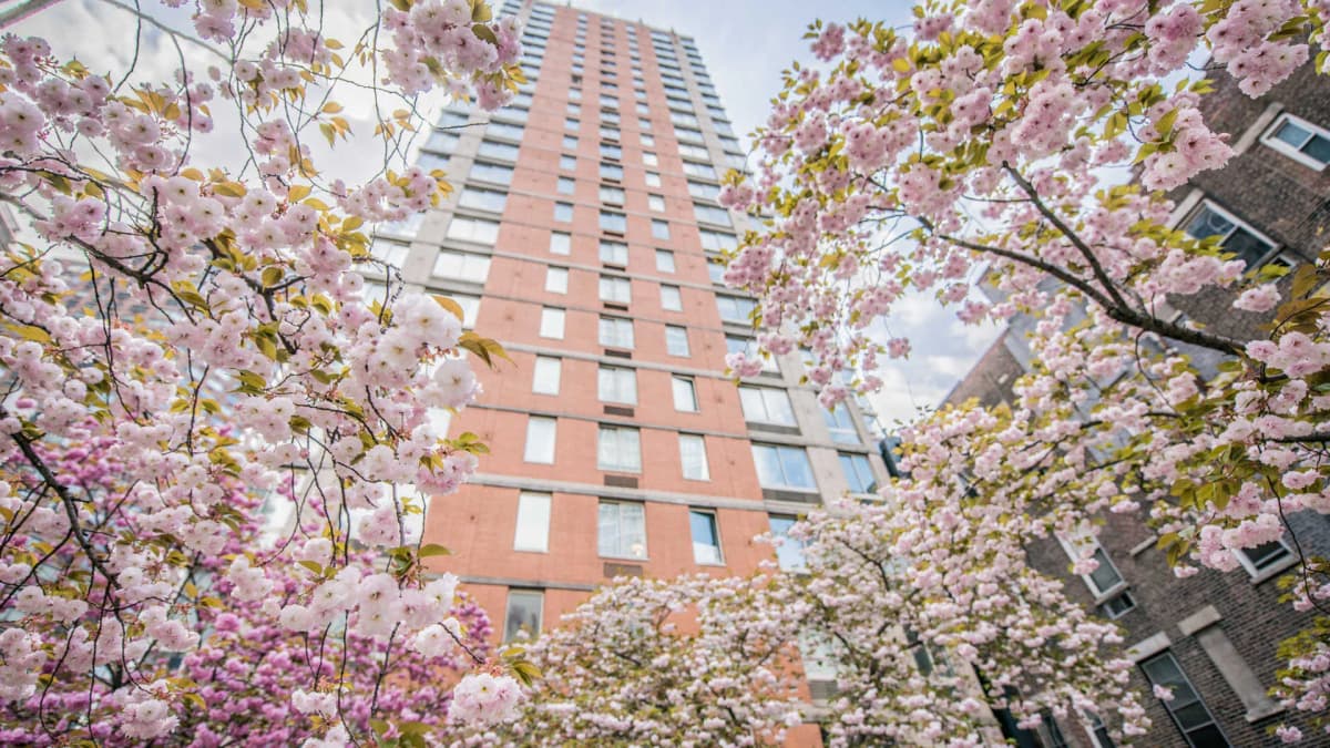 305 West 50th Street #16B - 305 West 50th Street #16B 1 of 15