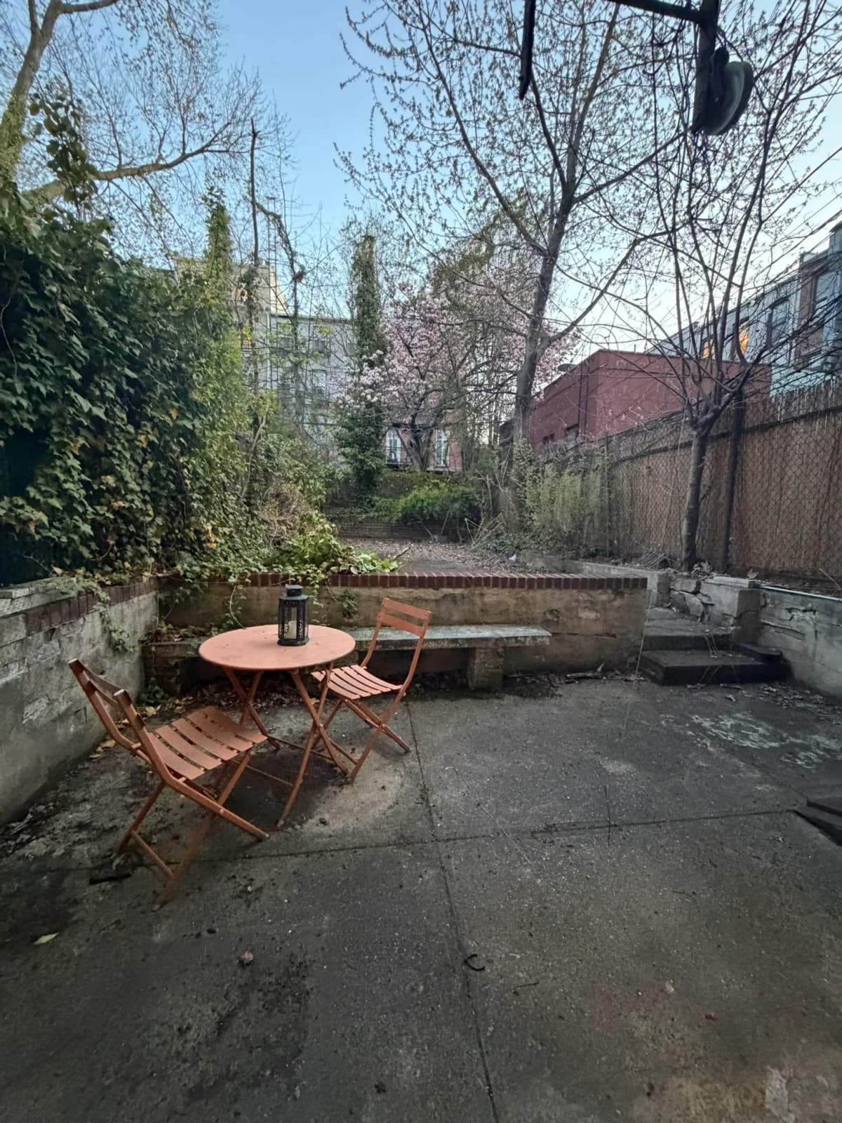 Philip Akleh - 342 Union Street #GARDEN 1 of 15