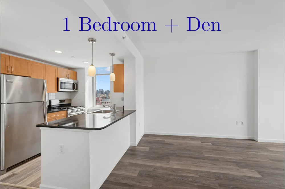 229 Chrystie Street #811-0 - 229 Chrystie Street #811-0 1 of 15