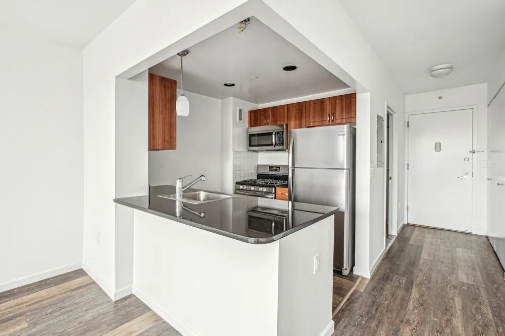 229 Chrystie Street #334 - 229 Chrystie Street #334 1 of 15