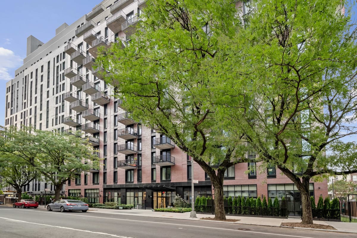 Apartment in East Harlem