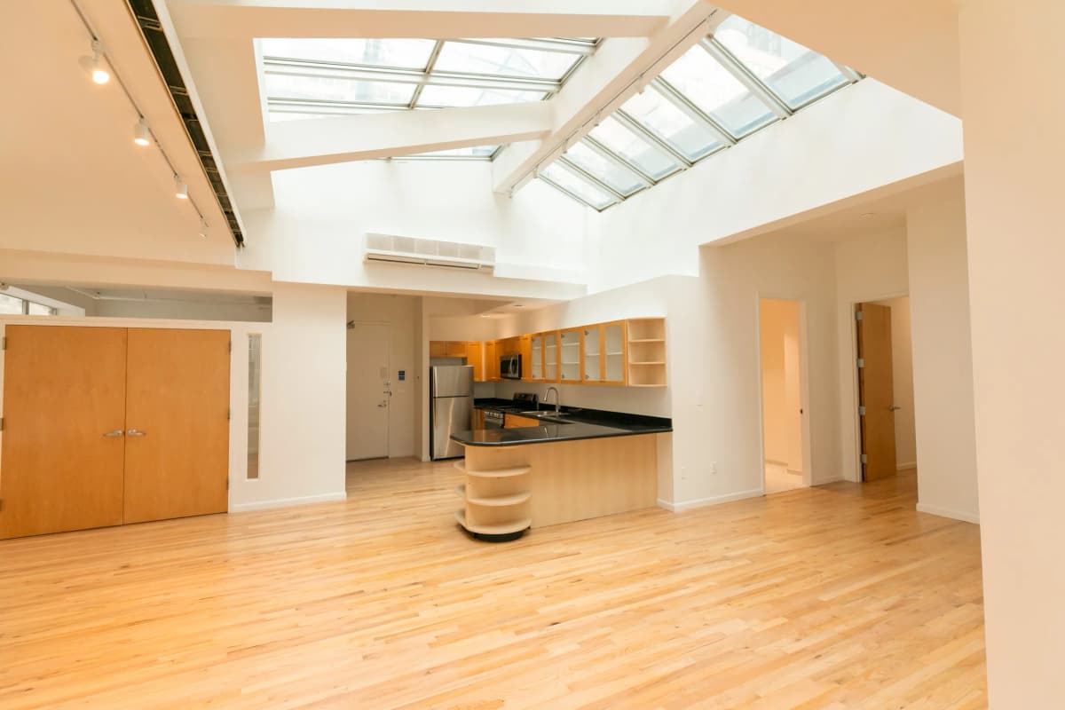 Clara Rose Dass - 80 Nassau Street #4A 1 of 15