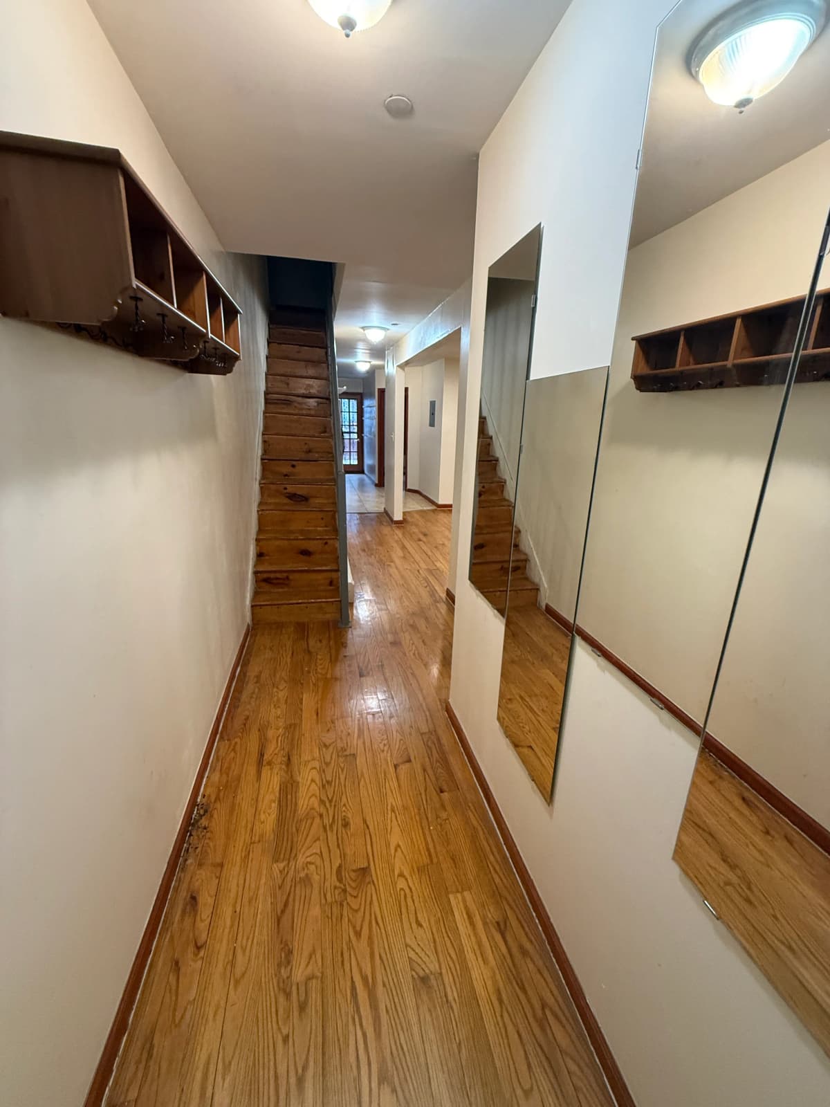 Estella Prestigiacomo - 565 Putnam Avenue #1 1 of 13