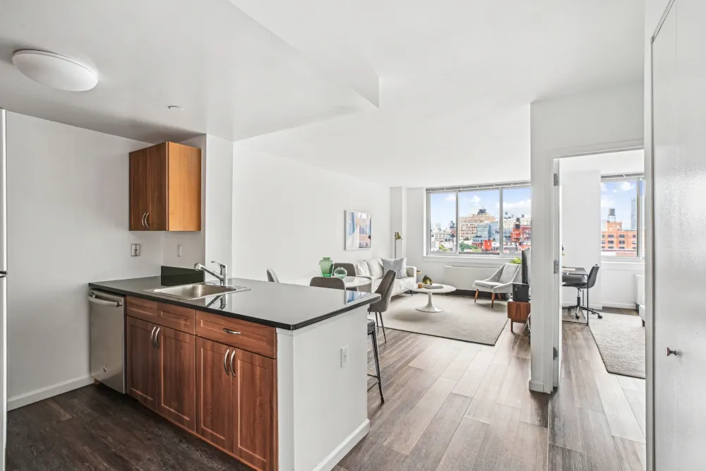 229 Chrystie Street #733-0 - 229 Chrystie Street #733-0 1 of 15