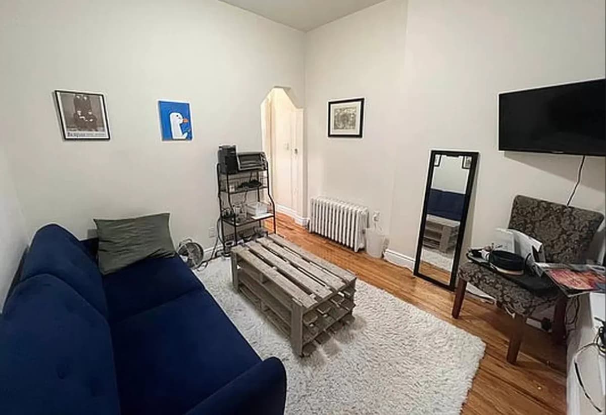 Melanie Nazarian - 230 East 25th Street #4F 1 of 14