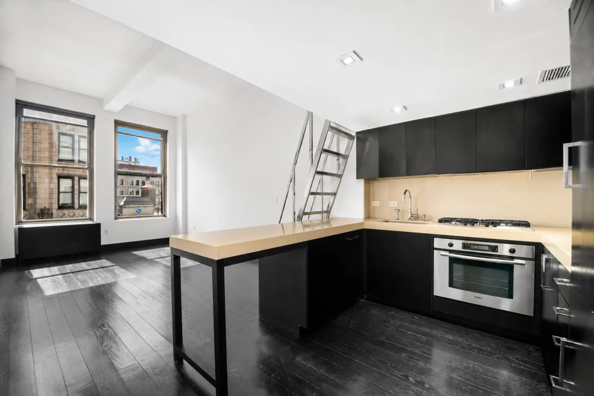 Karina Sagiev - 254 Park Avenue South #12HJ 1 of 15