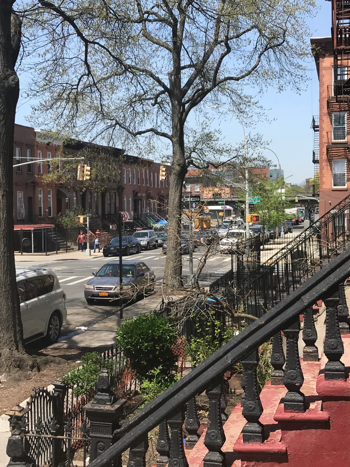Victor Gazal - 115 Albany Avenue #2 1 of 15